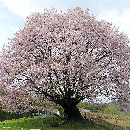 Pension Green Field Katashina Exterior foto